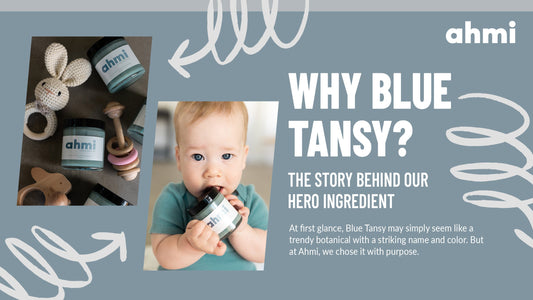 Why Blue Tansy?